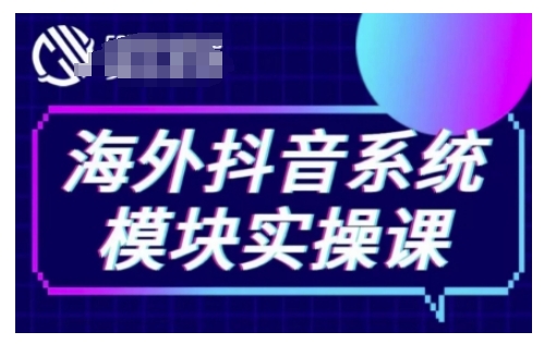 海外抖音Tiktok系统模块实操课，TK短视频带货，TK直播带货，TK小店端实操等-一新网创