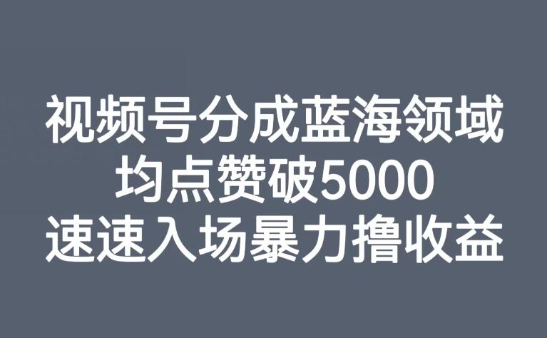 视频号分成蓝海领域，均点赞破5000，速速入场暴力撸收益-一新网创