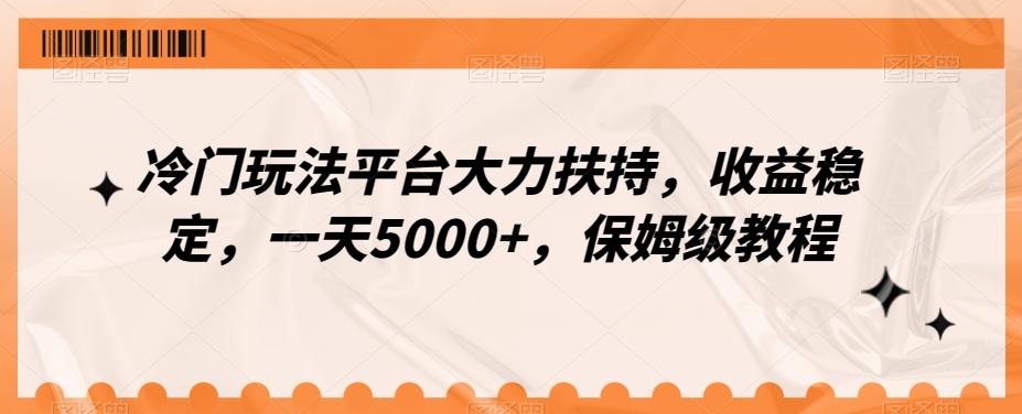 冷门玩法平台大力扶持，收益稳定，一天5000+，保姆级教程（附抖音7天起号法）-一新网创