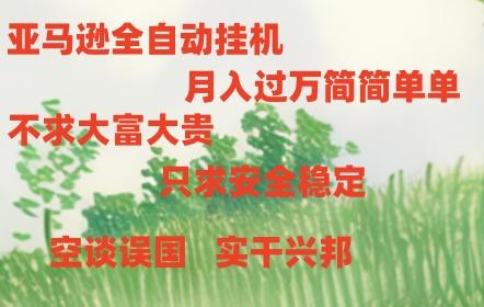 亚马逊全自动浏览挂机，，收益稳定且前景广阔-一新网创