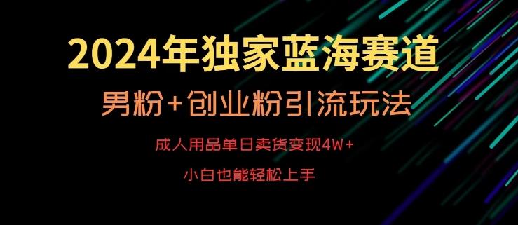 2024年独家蓝海赛道，成人用品单日卖货变现4W+，男粉+创业粉引流玩法，不愁搞不到流量【揭秘】-一新网创