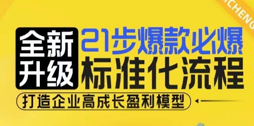 21步爆款必爆标准化流程，全新升级，打造企业高成长盈利模型-一新网创