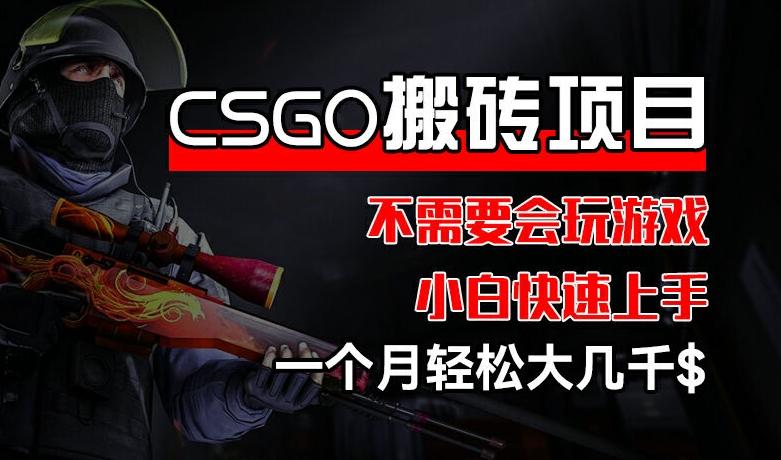 CSGO 装备搬砖项目，操作简单，不需要会玩游戏，小白也能快速上手，一个月轻松大几千【揭秘】-一新网创