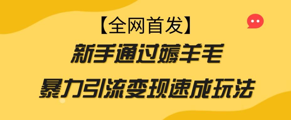 【全网首发】新手通过薅羊毛暴力引流变现速成玩法-一新网创