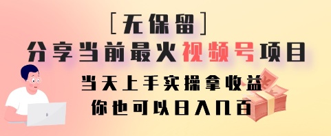 无保留分享当前最火视频号项目，当天上手实操拿收益，你也可以日入几百-一新网创