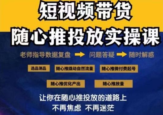 2024好物分享随心推投放实操课，随心推撬动自然流量/微付费起号/优化产出-一新网创