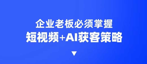 企业短视频AI获客霸屏流量课，6步短视频+AI突围法，3大霸屏抢客策略-一新网创