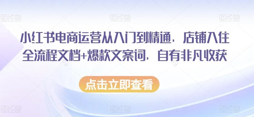 小红书电商运营从入门到精通，店铺入住全流程文档+爆款文案词，自有非凡收获-一新网创
