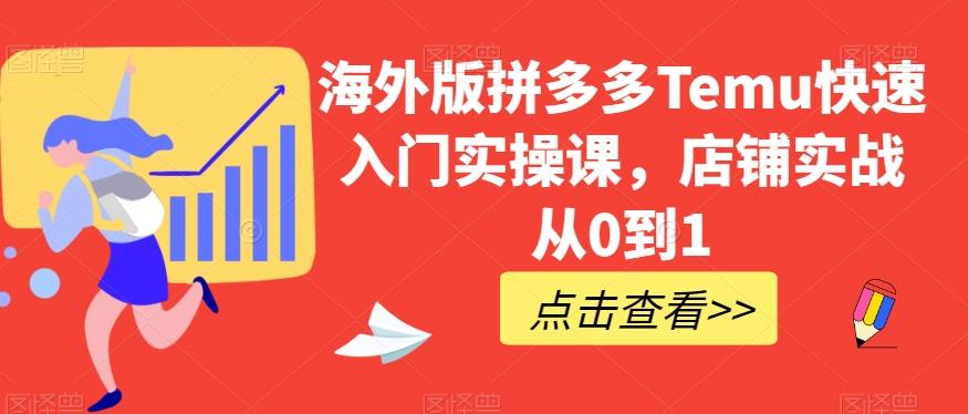 海外版拼多多Temu快速入门实操课，店铺实战从0到1-一新网创