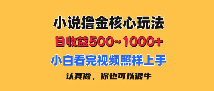 小说撸金核心玩法，日收益500-1000+，小白看完照样上手，0成本有手就行-一新网创