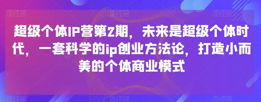 超级个体IP营第2期，未来是超级个体时代，一套科学的ip创业方法论，打造小而美的个体商业模式-一新网创