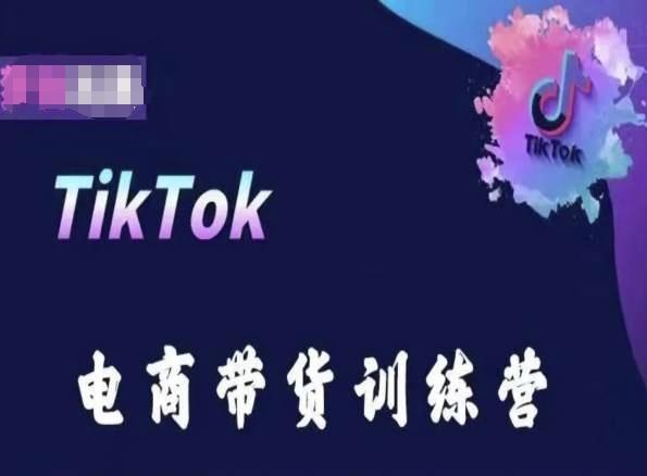 TikTok电商带货训练营，跟随时代潮流，跨境掘金-一新网创