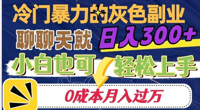 冷门暴利的副业项目，聊聊天就能日入300+，0成本月入过万【揭秘】-一新网创