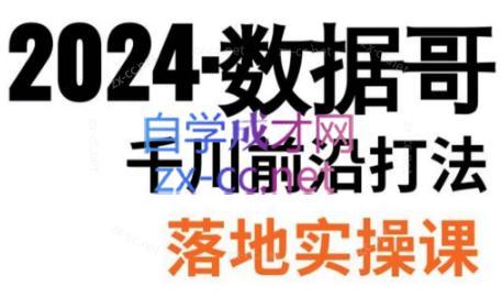 数据哥·2024年千川前沿打法落地实操课-一新网创