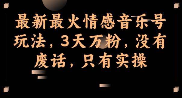 最新最火情感音乐号玩法，3天万粉，没有废话，只有实操-一新网创