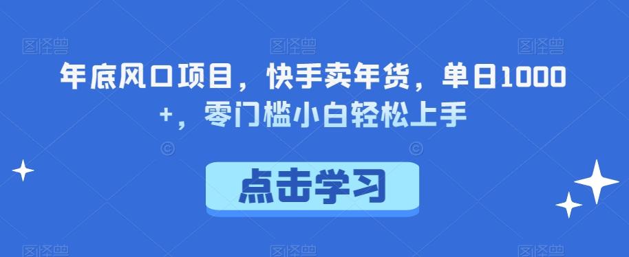 年底风口项目，快手卖年货，单日1000+，零门槛小白轻松上手-一新网创