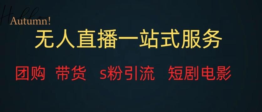 无人直播一站式服务（教程以及变现方式）-一新网创