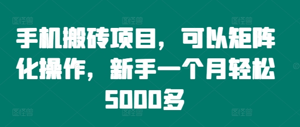 手机搬砖项目，可以矩阵化操作，新手一个月轻松5000多-一新网创