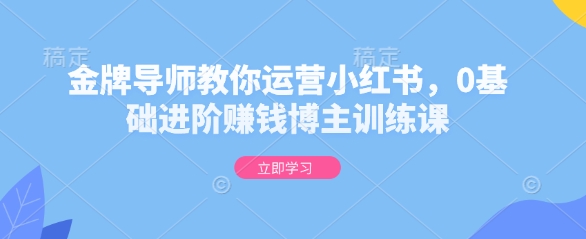 金牌导师教你运营小红书，0基础进阶赚钱博主训练课-一新网创