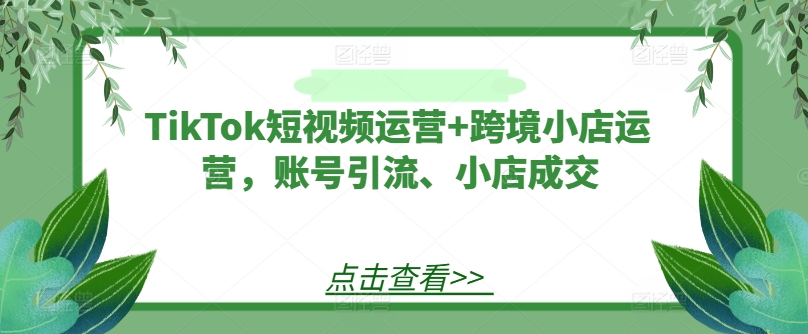 TikTok短视频运营+跨境小店运营，账号引流、小店成交-一新网创