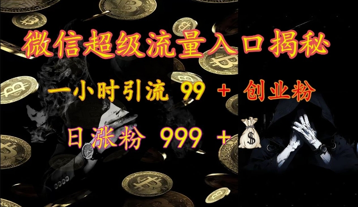 微信超级流量入口揭秘：一小时引流 99 + 创业粉，日涨粉 999 +-一新网创