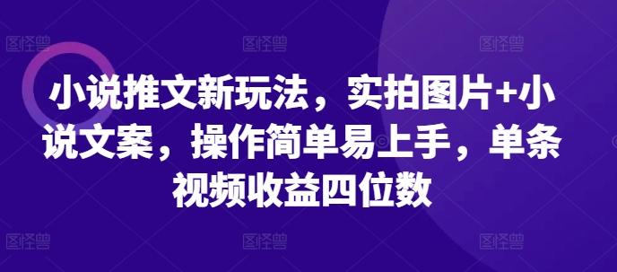 小说推文新玩法，实拍图片+小说文案，操作简单易上手，单条视频收益四位数-一新网创