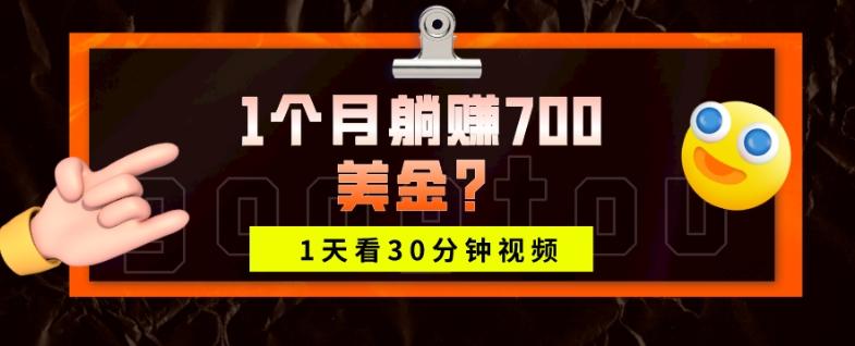 1天看30分钟视频，1个月躺赚700美金？-一新网创