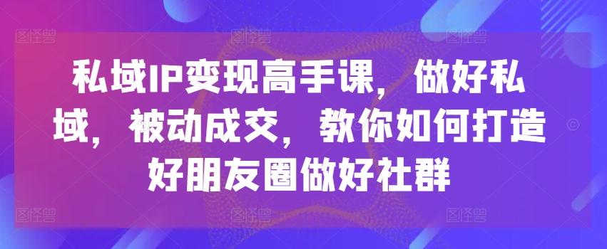 私域IP变现高手课，做好私域，被动成交，教你如何打造好朋友圈做好社群-一新网创
