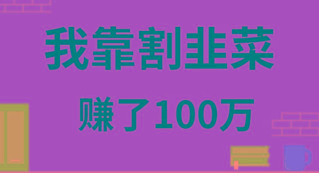我靠割韭菜赚了 100 万-一新网创
