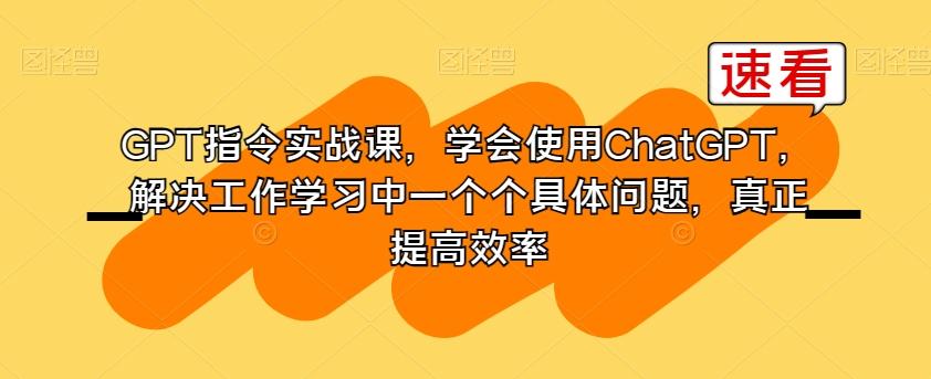 GPT指令实战课，学会使用ChatGPT，解决工作学习中一个个具体问题，真正提高效率-一新网创