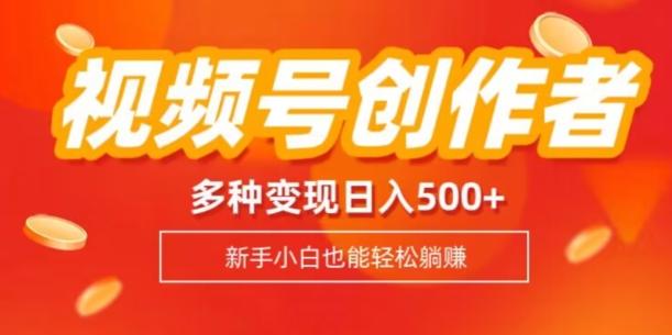视频号创作者计划，多种变现方式，日入500+【内附1080g视频素材】-一新网创