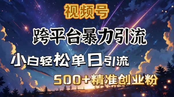 跨平台暴力引流，私域完美闭环，日引500+精准创业粉-一新网创
