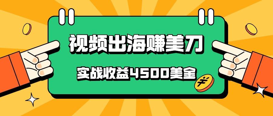 国内爆款视频出海赚美刀，实战收益4500美金，批量无脑搬运，无需经验直接上手-一新网创