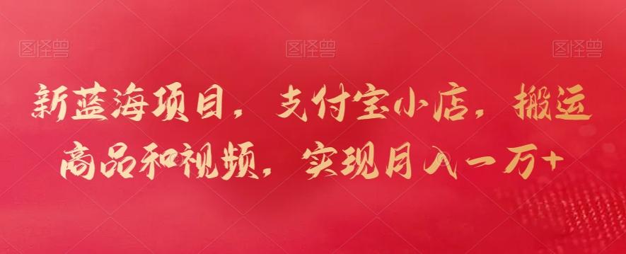 新蓝海项目，支付宝小店，搬运商品和视频，实现月入一万+【揭秘】-一新网创