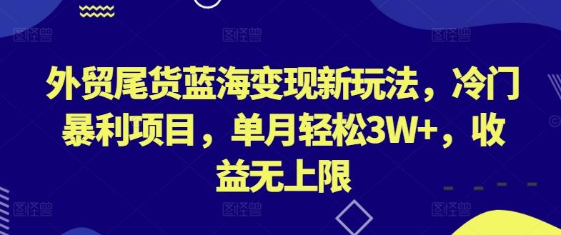 外贸尾货蓝海变现新玩法，冷门暴利项目，单月轻松3W+，收益无上限【揭秘】-一新网创