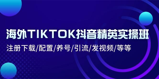 海外TIKTOK抖音精英实操班：注册下载/配置/养号/引流/发视频/等等-一新网创