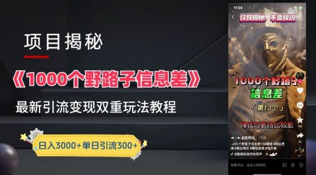 一千个野路子信息差最新玩法教程-变现+引流的玩法具体拆解【揭秘】-一新网创