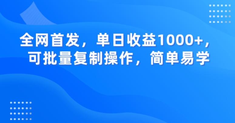 全网首发，单日收益1000+，可批量复制操作，简单易学【揭秘】-一新网创