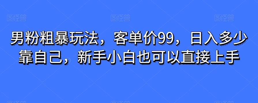 男粉粗暴玩法，客单价99，日入多少靠自己，新手小白也可以直接上手-一新网创