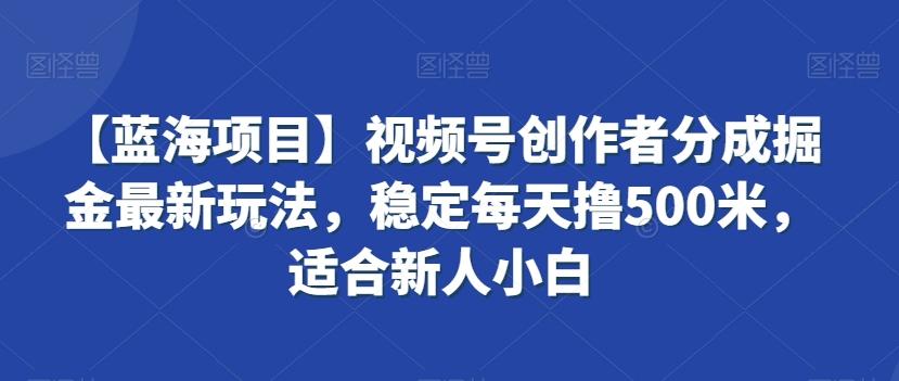 【蓝海项目】视频号创作者分成掘金最新玩法，稳定每天撸500米，适合新人小白【揭秘】-一新网创