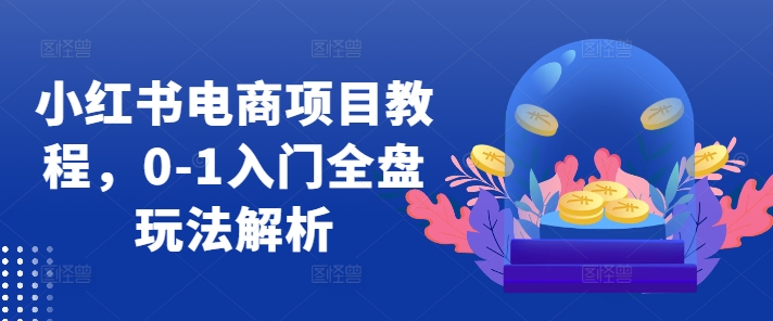 小红书电商项目教程，0-1入门全盘玩法解析-一新网创