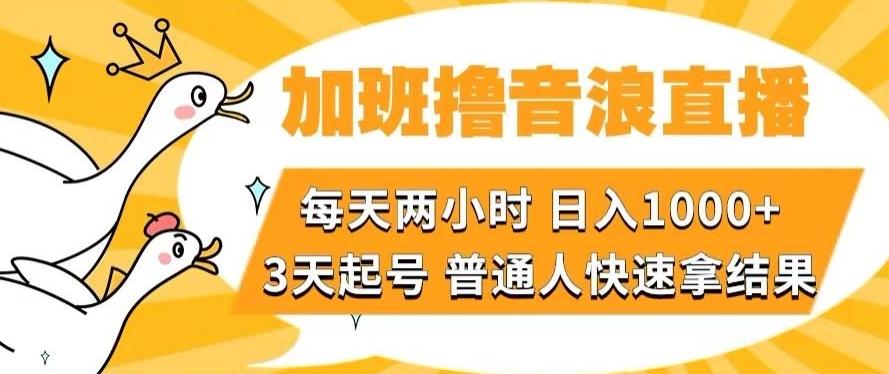 加班撸音浪直播，每天两小时，日入1000+，直播话术才3句，3天起号，普通人快速拿结果【揭秘】-一新网创