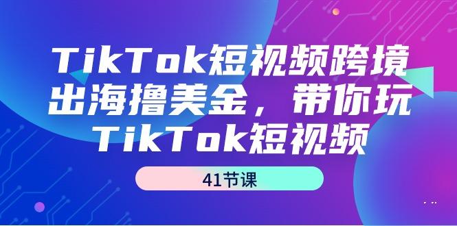 TikTok短视频跨境出海撸美金，带你玩TikTok短视频(41节课)-一新网创
