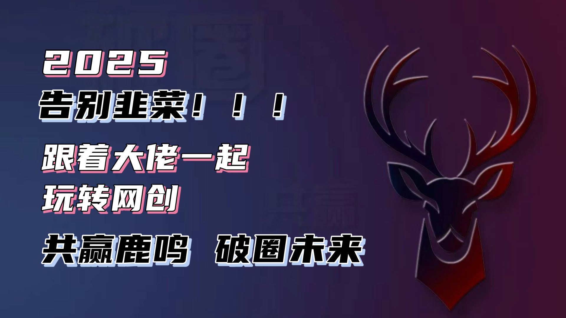 告别韭菜！2025知识付费风口项目，小白也能闭眼操作！-一新网创