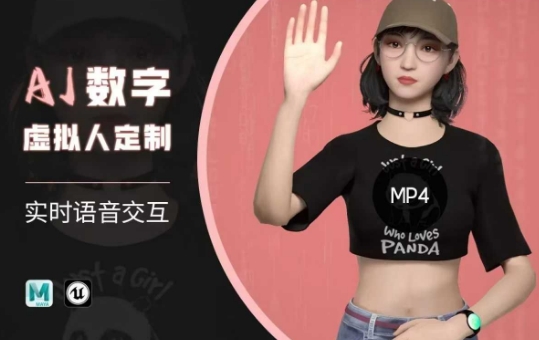 Ai数字人虚拟(智能体)实时语音交互特训营，​自行定制超写实角色AI数字人交互技术-一新网创