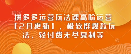 拼多多运营玩法课高阶运营【2月更新】，极致群爆款玩法，轻付费无尽复制等-一新网创