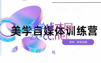 安娜·美学自媒体IP系统课-一新网创