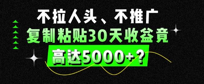 不拉人头、不推广，复制粘贴30天收益竟高达5000+？-一新网创