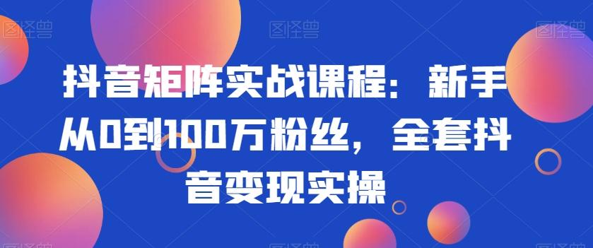 抖音矩阵实战课程：新手从0到100万粉丝，全套抖音变现实操-一新网创