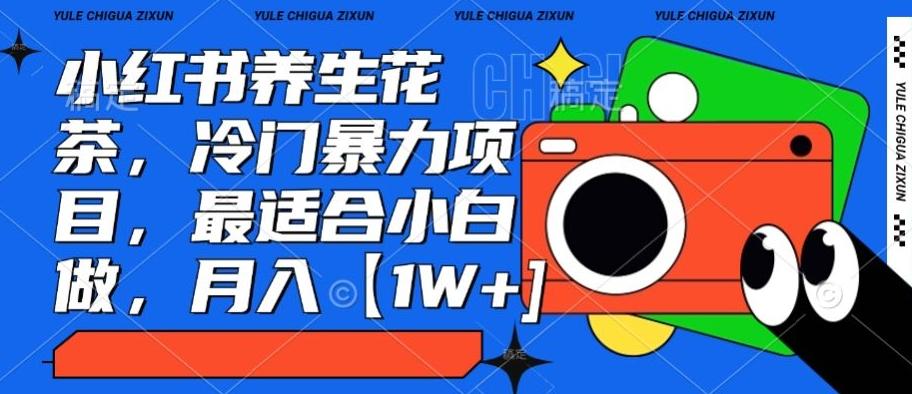 小红书养生花茶，冷门暴力项目，最适合小白做，月入【1W+】-一新网创